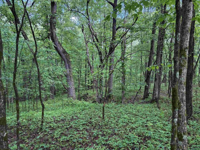 435 Duscoe Rd, Somerville, TN 38068
