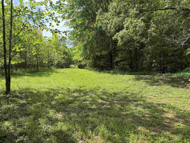 435 Duscoe Rd, Somerville, TN 38068