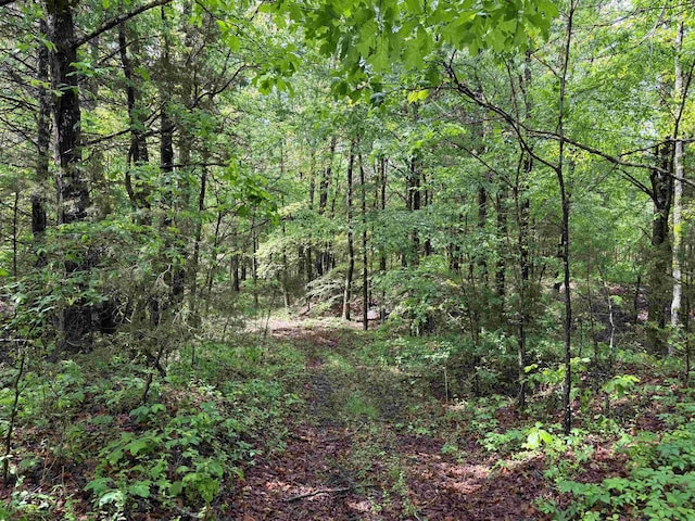 435 Duscoe Rd, Somerville, TN 38068