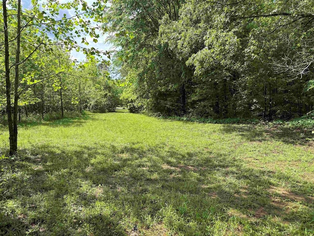 435 Duscoe Rd, Somerville, TN 38068