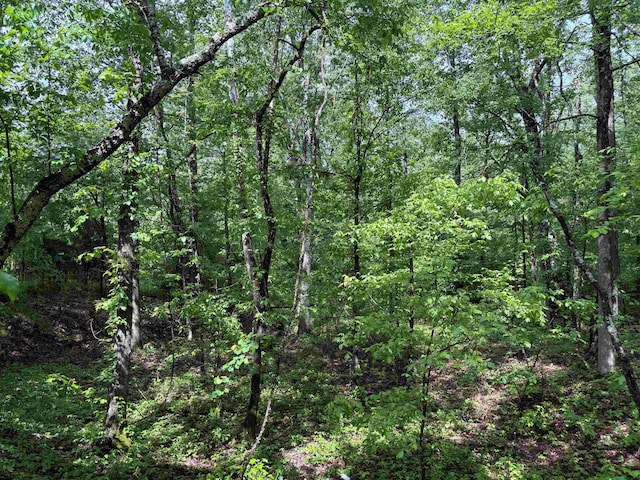 435 Duscoe Rd, Somerville, TN 38068