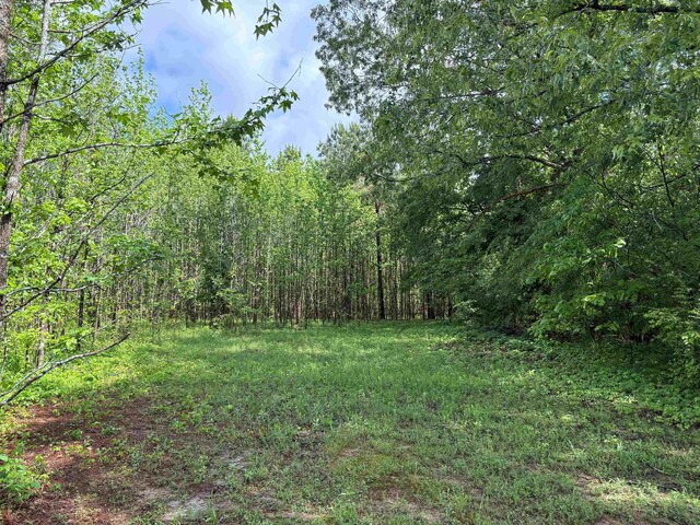 435 Duscoe Rd, Somerville, TN 38068