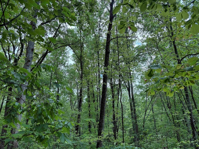 435 Duscoe Rd, Somerville, TN 38068