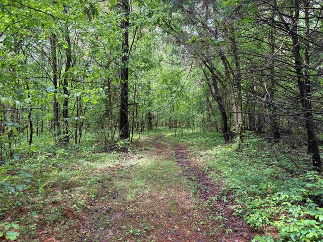 435 Duscoe Rd, Somerville, TN 38068