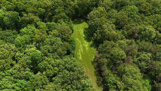 435 Duscoe Rd, Somerville, TN 38068