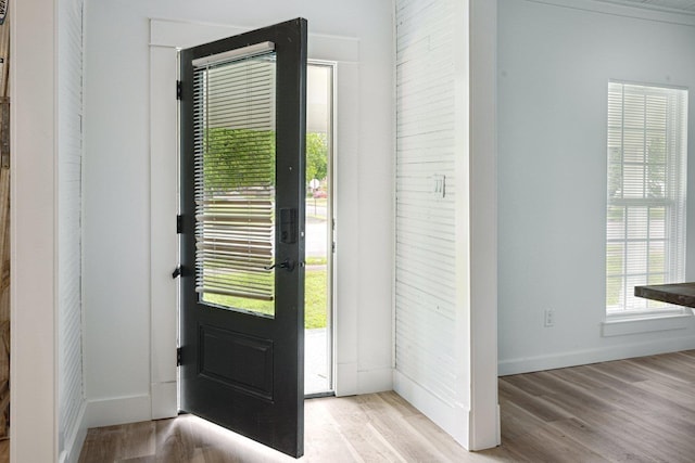 entrance foyer featuring healthy amount of natural light, wood finished floors, and baseboards