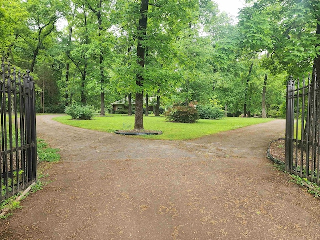 view of property's community with dirt driveway