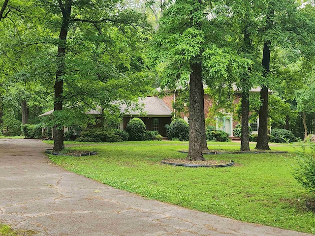 view of property hidden behind natural elements featuring asphalt driveway and a front lawn