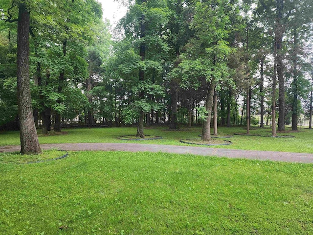 view of grassy yard