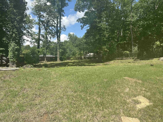 3236 Whitney Rd, Memphis, TN 38128 - view of green lawn