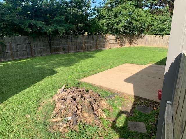 view of yard featuring a patio