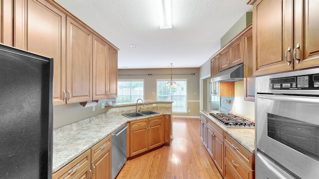 kitchen featuring a sink, stainless steel appliances, under cabinet range hood, light wood-type flooring, and a warming drawer