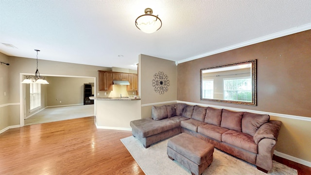 living area with light wood finished floors, a textured ceiling, baseboards, a chandelier, and crown molding