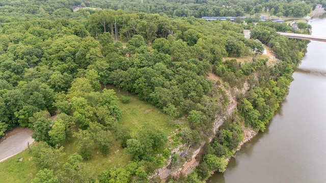 175 Bridgeview Ln, Bath Springs, TN 38311