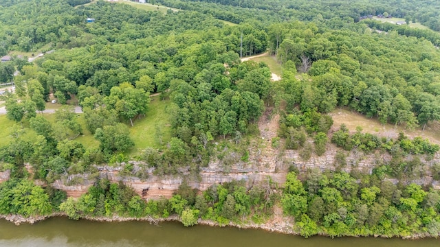 175 Bridgeview Ln, Bath Springs, TN 38311