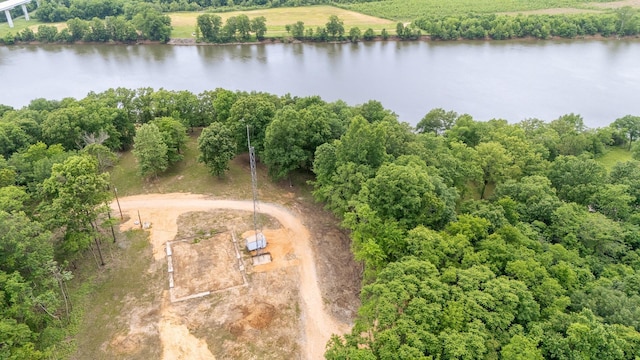 175 Bridgeview Ln, Bath Springs, TN 38311