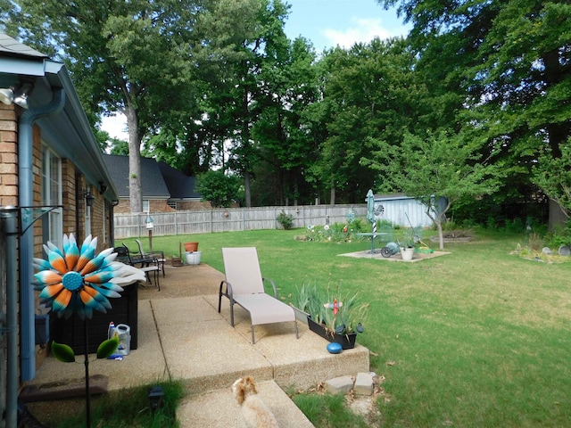view of yard with a patio area