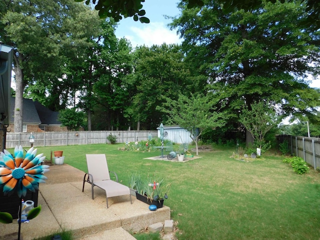 view of yard with a patio