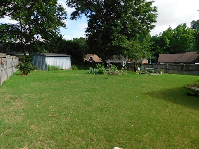 view of yard with a shed and an outdoor structure