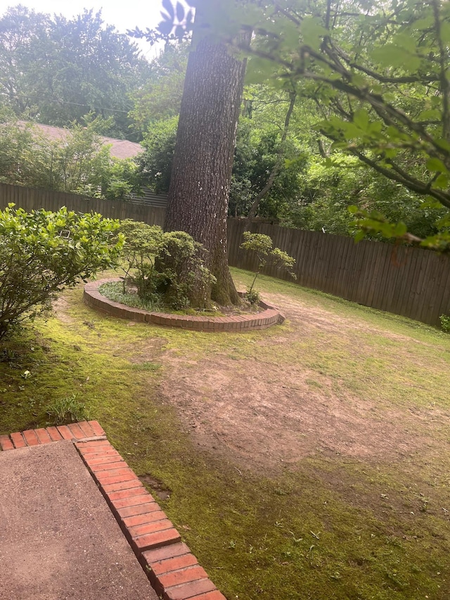 6233 Quince Rd, Memphis, TN 38119 - view of yard