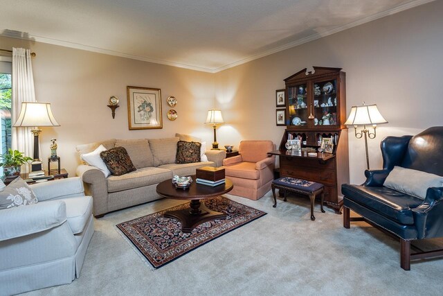 6932 Midhurst Rd Unit 6932, Memphis, TN 38119 - living area featuring carpet and ornamental molding