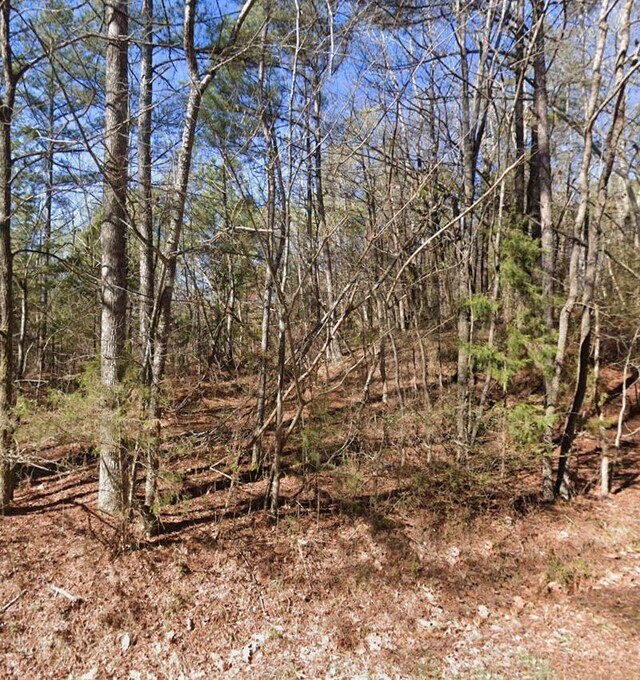 Perkins St, Selmer, TN 38375