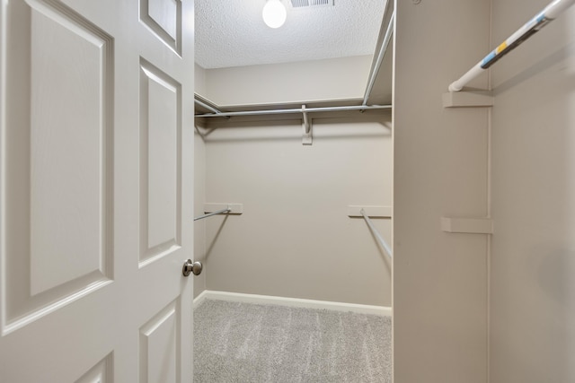 walk in closet featuring carpet flooring