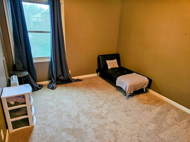 1212 Bristol Dr Unit 1212, Memphis, TN 38119 - bedroom with carpet flooring and baseboards