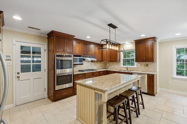 kitchen with stainless steel appliances, a sink, crown molding, tasteful backsplash, and plenty of natural light