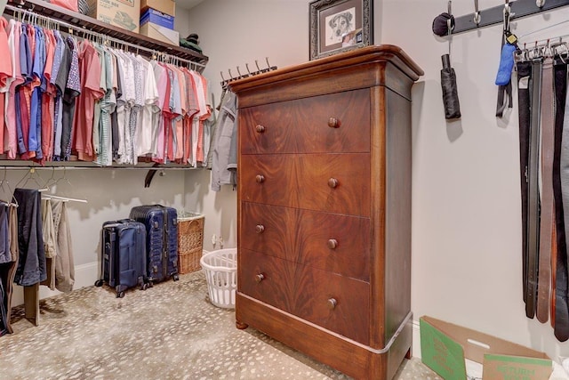 1948 Clarington Dr, Germantown, TN 38138 - walk in closet with carpet flooring
