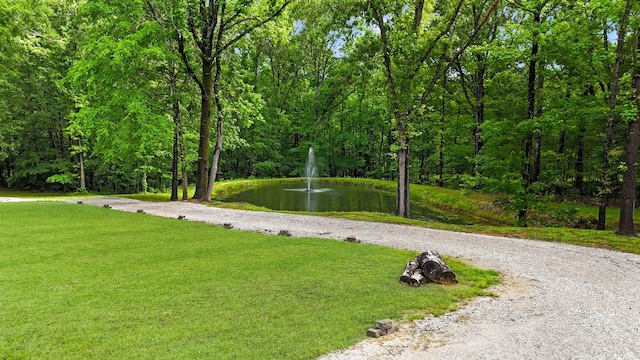 335 Blain St, Rossville, TN 38066 - view of property's community with a water view and a yard