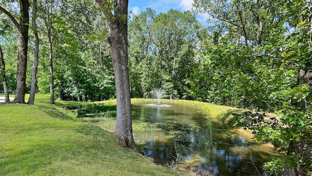 335 Blain St, Rossville, TN 38066 - water view