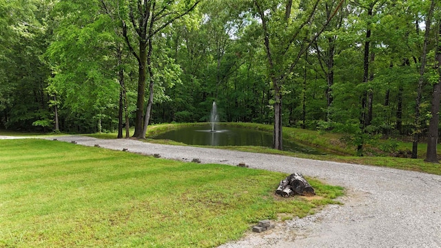 335 Blain St, Rossville, TN 38066 - view of community with a water view, a lawn, and a view of trees