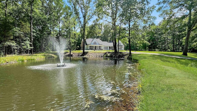 335 Blain St, Rossville, TN 38066 - water view