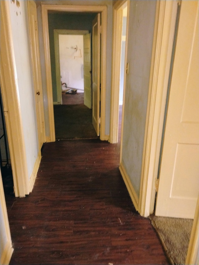hallway with dark wood-type flooring