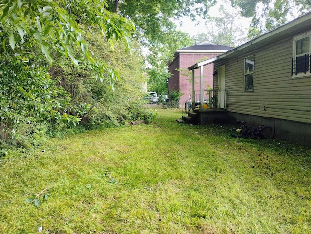view of green lawn