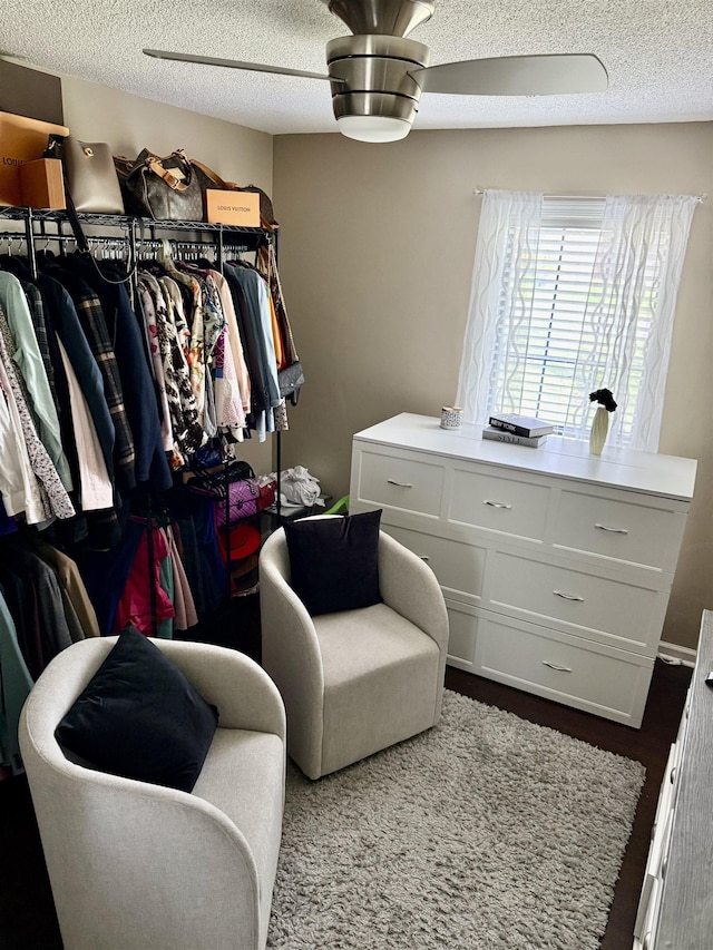 spacious closet featuring carpet floors