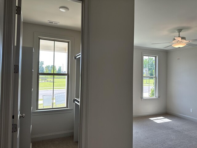 doorway with carpet, baseboards, and a ceiling fan