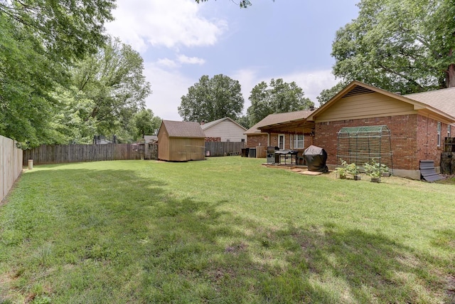 view of yard featuring a storage shed, an outdoor structure, and a patio area