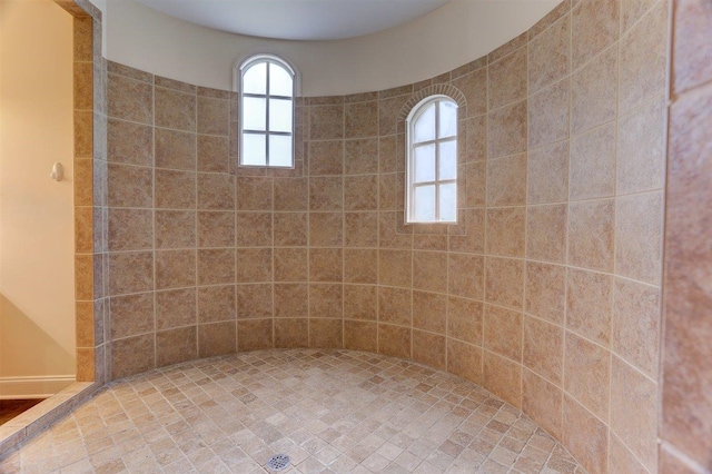 100 Whitehall Ct, Unicorp/Eads, TN 38028 - full bathroom with a tile shower