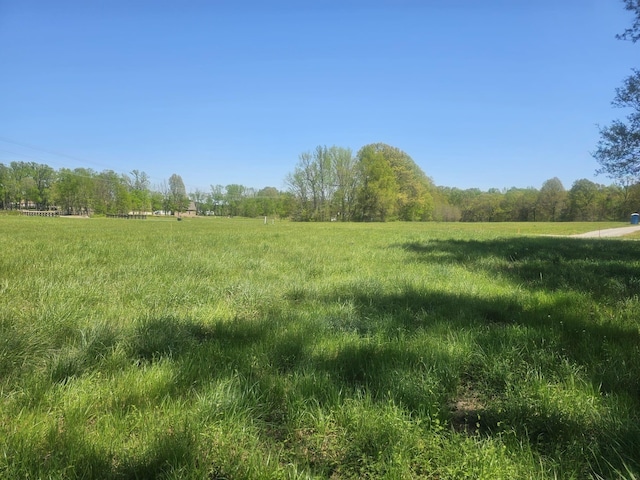 75 Astor Ct, Arlington, TN 38002