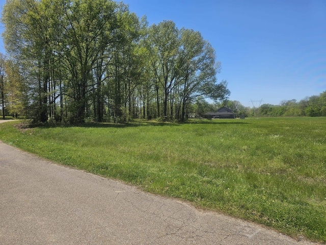 75 Astor Ct, Arlington, TN 38002