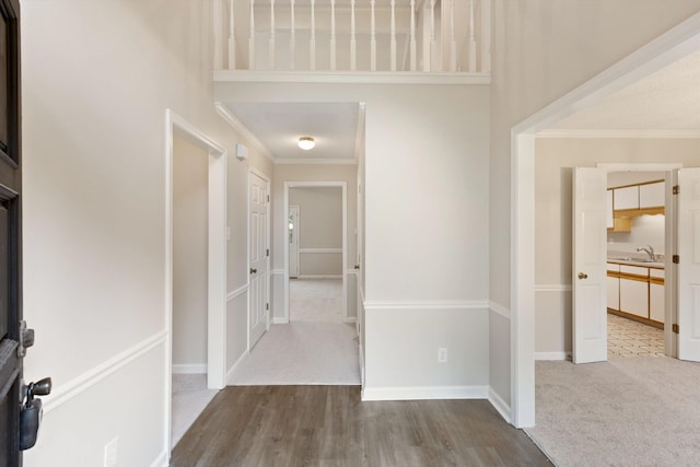 carpeted entrance foyer with a sink, a high ceiling, crown molding, wood finished floors, and baseboards