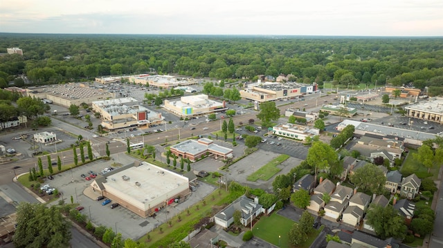 185 Alexander St, Memphis, TN 38111 - aerial view of a forest