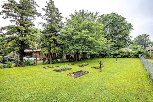 view of yard featuring a vegetable garden