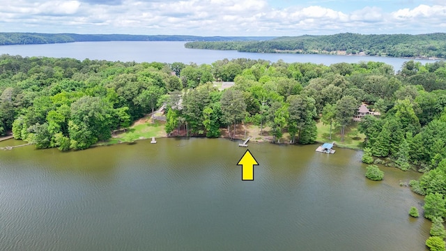 975 Buchanan Peninsula St, Cherokee, AL 35616 - drone / aerial view of a nearby body of water and a heavily wooded area
