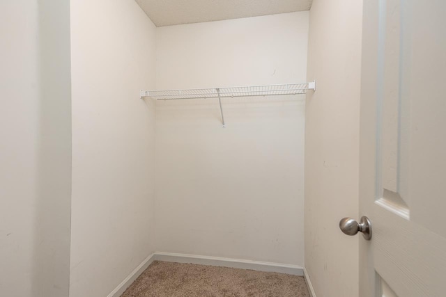 walk in closet featuring carpet