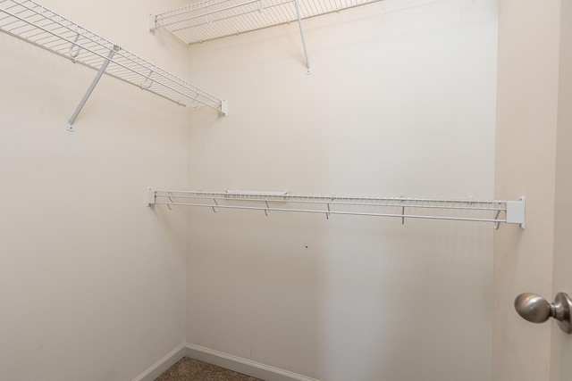 view of walk in closet