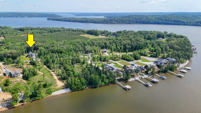 drone / aerial view of a forest and a nearby body of water