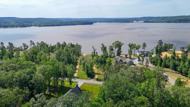 drone / aerial view of a large body of water and a heavily wooded area